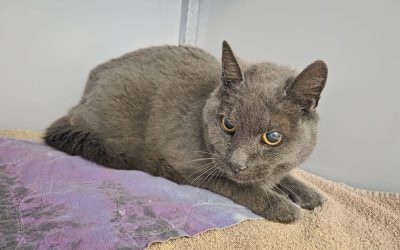 Bounty – Binnengekomen