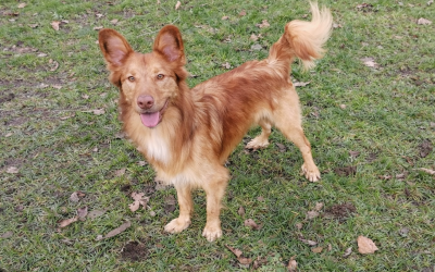 Jack – Gereserveerd