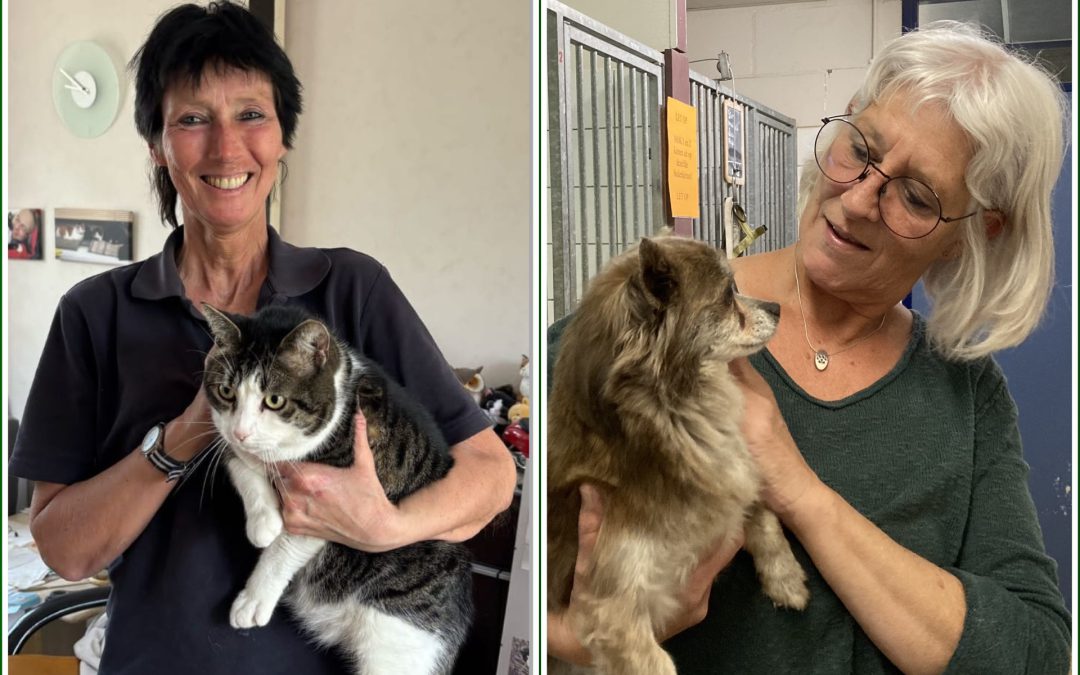 Er is een tijd van komen en van gaan.