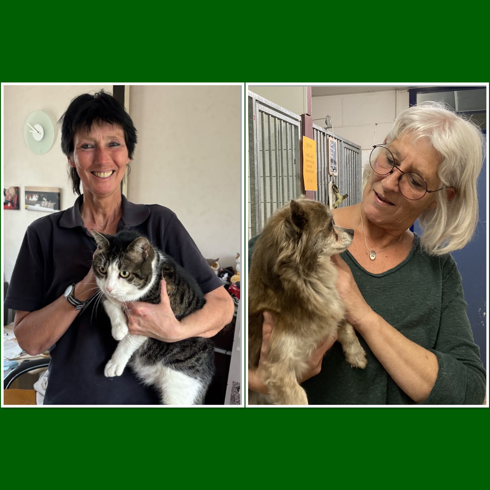 b053420c-4b29-4cb5-ac8e-745c7b336830