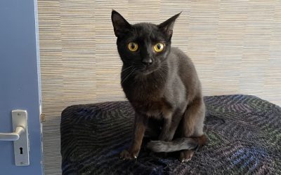 Mami- Gereserveerd